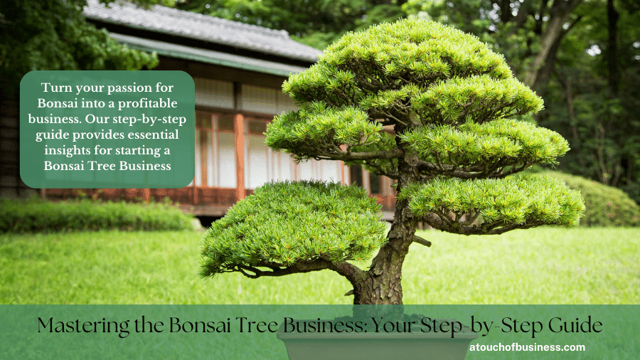 Image of Bonsai tree in a yard.