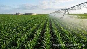A large center-pivot irrigation system actively spraying a massive field of healthy green crops.